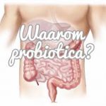 probiotica waarom