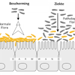 darmklachten